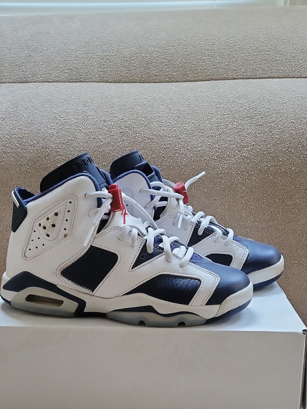 Jordan Retro 6